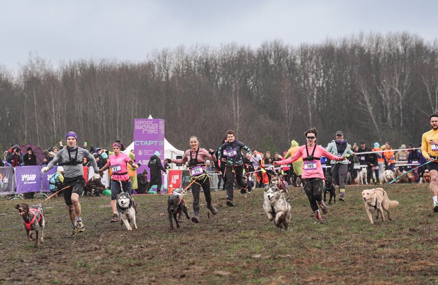 Кросс "Быстрый пес" собрал около 300 бегунов с собаками в Москве 17 фото