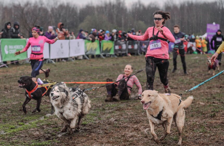 Кросс "Быстрый пес" собрал около 300 бегунов с собаками в Москве 18 фото
