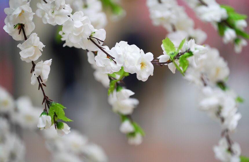 ГУМ украсили сакурой к весеннему сезону 8 фото