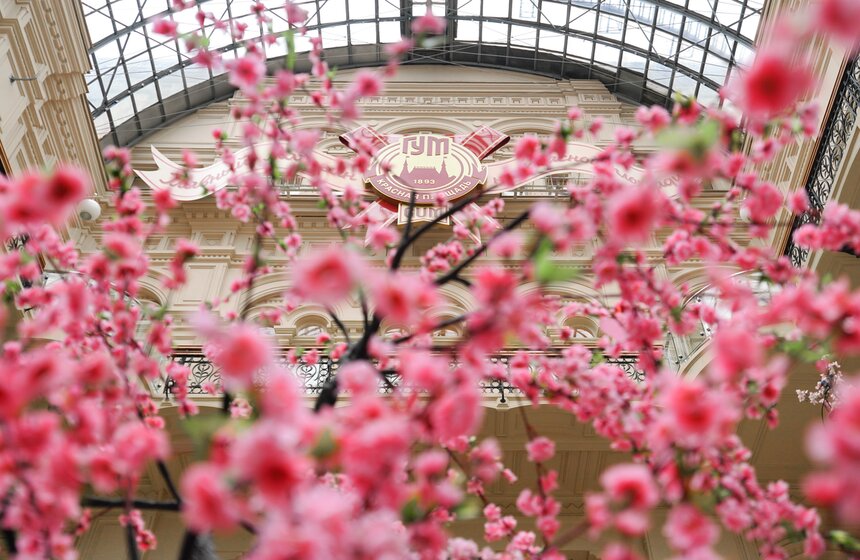 ГУМ украсили сакурой к весеннему сезону 5 фото