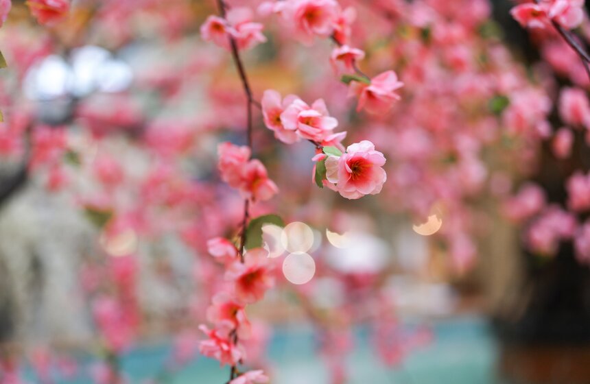 ГУМ украсили сакурой к весеннему сезону 13 фото