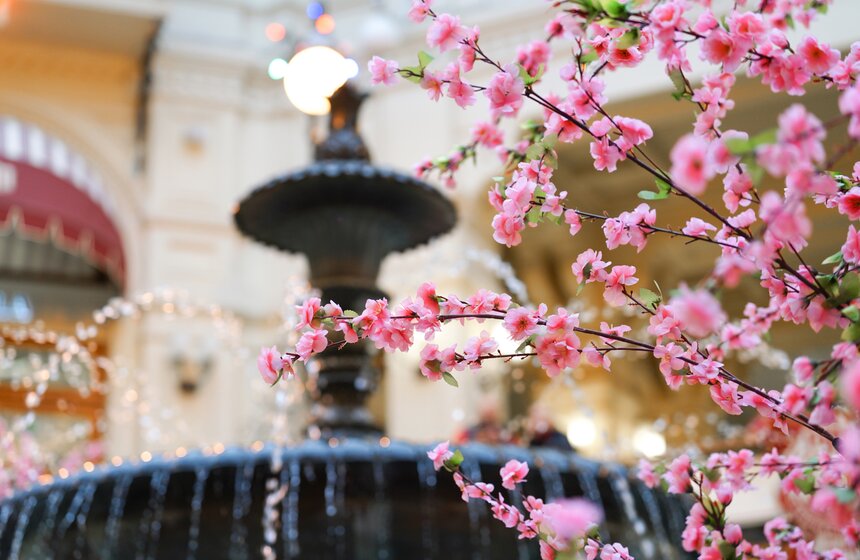 ГУМ украсили сакурой к весеннему сезону 16 фото