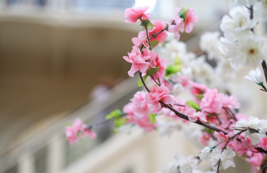 ГУМ украсили сакурой к весеннему сезону 27 фото