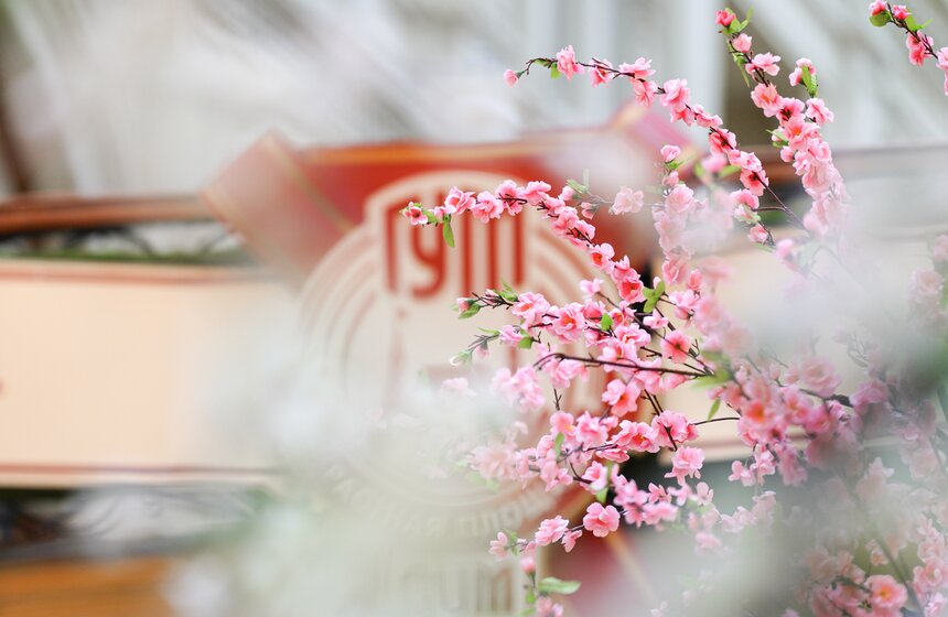 ГУМ украсили сакурой к весеннему сезону 1 фото