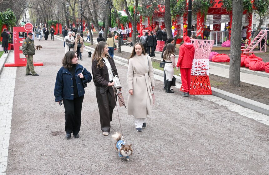 Мероприятие "Моспитомец х Четвероногий друг" состоялось на Тверском бульваре 1 фото