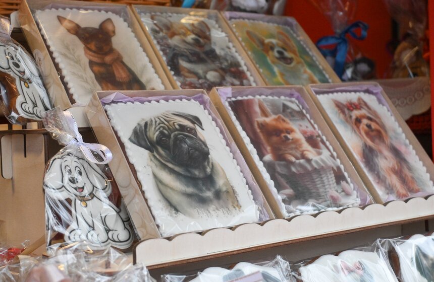 Мероприятие "Моспитомец х Четвероногий друг" состоялось на Тверском бульваре 24 фото