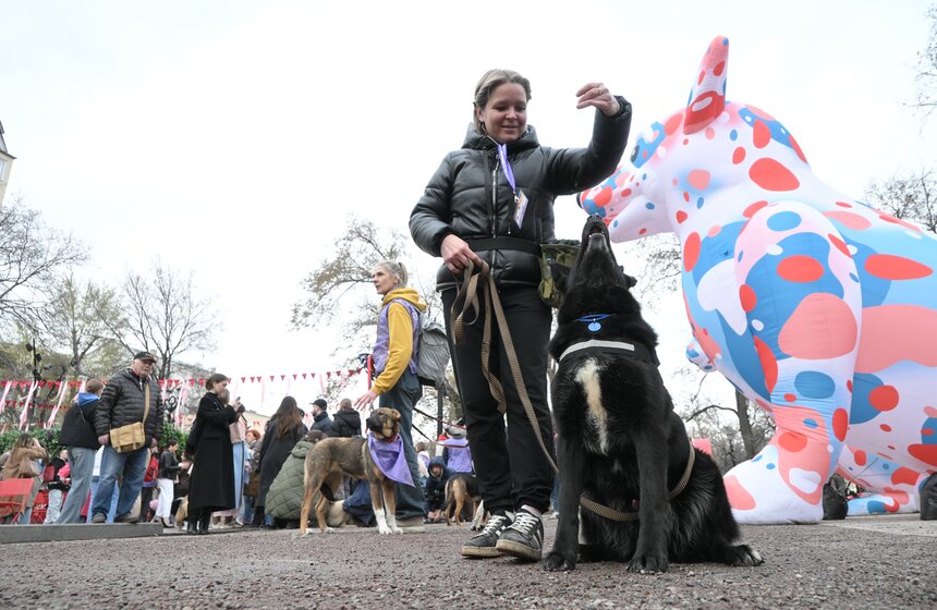 Мероприятие "Моспитомец х Четвероногий друг" состоялось на Тверском бульваре 10 фото