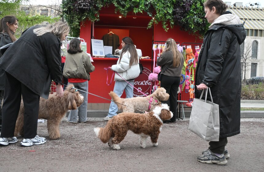 Мероприятие "Моспитомец х Четвероногий друг" состоялось на Тверском бульваре 22 фото