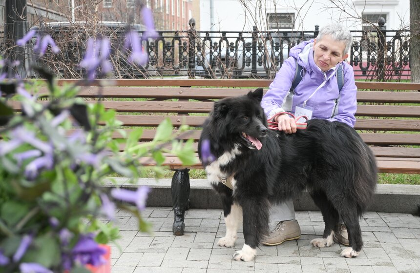 Мероприятие "Моспитомец х Четвероногий друг" состоялось на Тверском бульваре 9 фото