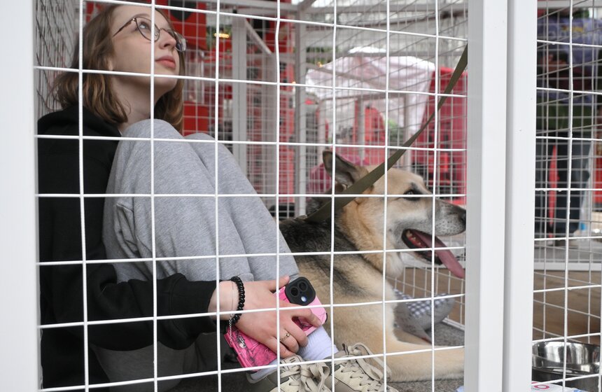 Мероприятие "Моспитомец х Четвероногий друг" состоялось на Тверском бульваре 28 фото