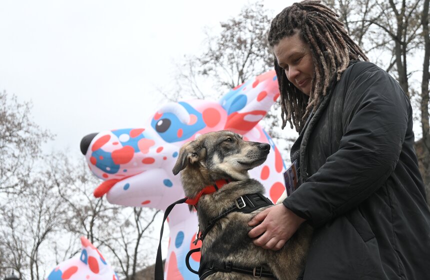 Мероприятие "Моспитомец х Четвероногий друг" состоялось на Тверском бульваре 12 фото