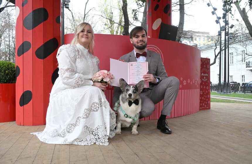 Мероприятие "Моспитомец х Четвероногий друг" состоялось на Тверском бульваре 20 фото