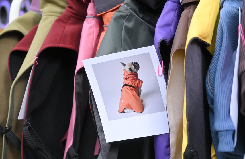 Мероприятие "Моспитомец х Четвероногий друг" состоялось на Тверском бульваре 5 фото