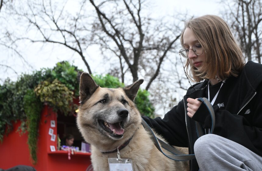 Мероприятие "Моспитомец х Четвероногий друг" состоялось на Тверском бульваре 8 фото