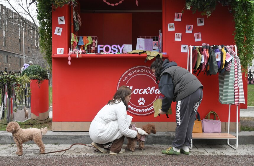 Мероприятие "Моспитомец х Четвероногий друг" состоялось на Тверском бульваре 6 фото