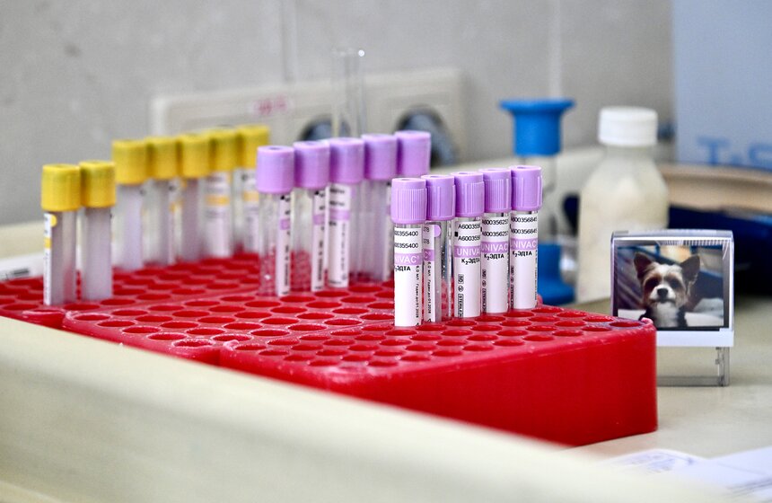 Пресс-тур к Национальному дню донора состоялся в Центре крови имени Гаврилова 11 фото