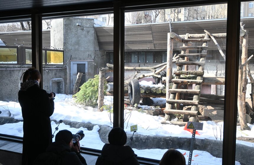 Медведи вышли из спячки в Московском зоопарке 18 фото