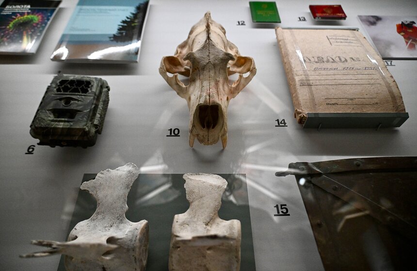 Выставка "Свобода и глушь. От Кенозерья до Поморья" открылась в Москве 9 фото