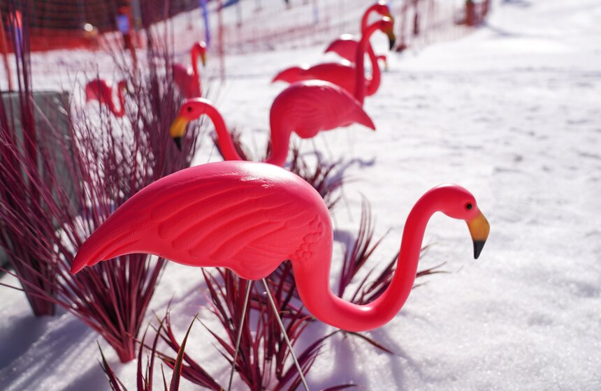 Спортивный карнавал для горнолыжников и сноубордистов состоялся на Воробьевых горах 3 фото