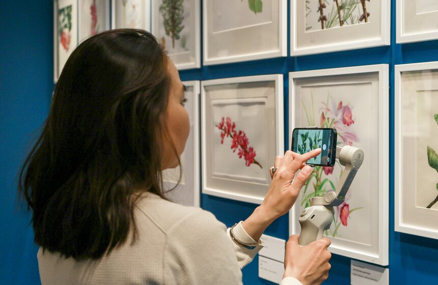 Выставка "Путешествие в Поднебесную" открылась в музее-заповеднике "Коломенское" 5 фото