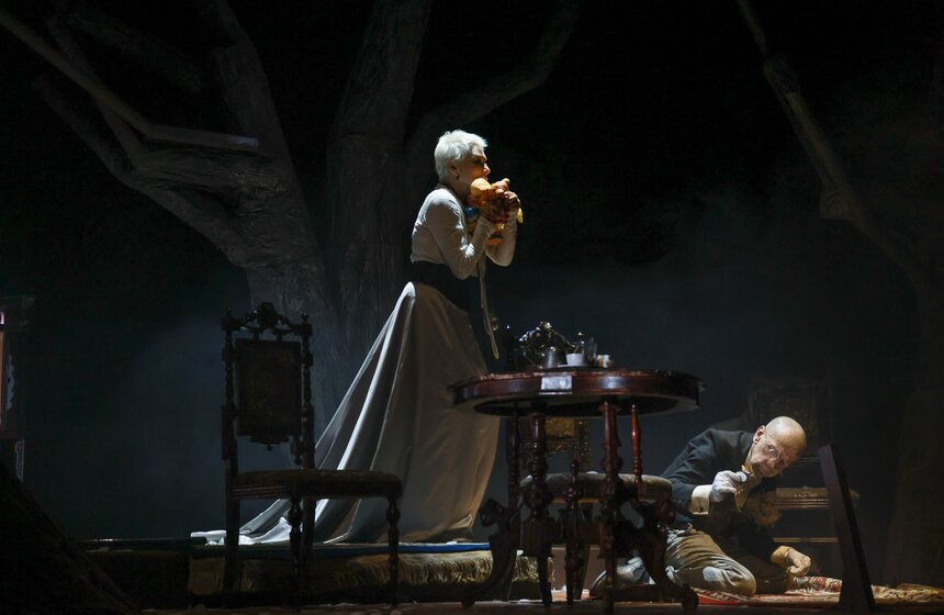 В Театре "Модерн" состоялась премьера спектакля "Вишневый сад" 12 фото