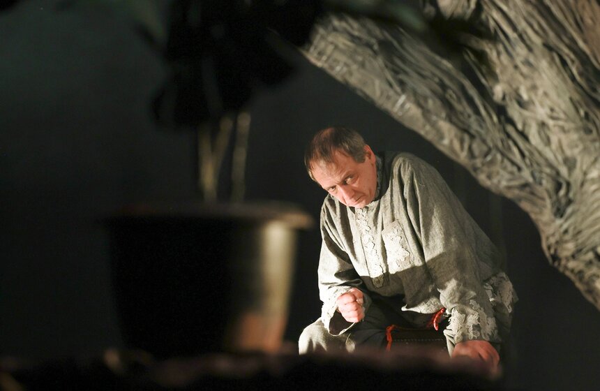 В Театре "Модерн" состоялась премьера спектакля "Вишневый сад" 25 фото