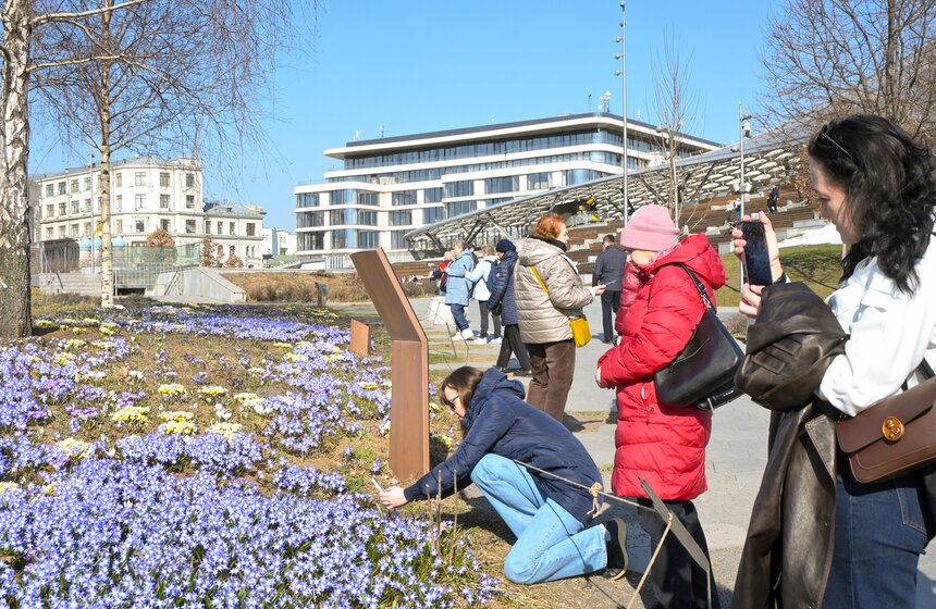 Температура в Москве может подняться до 19 градусов 30 и 31 марта 18 фото