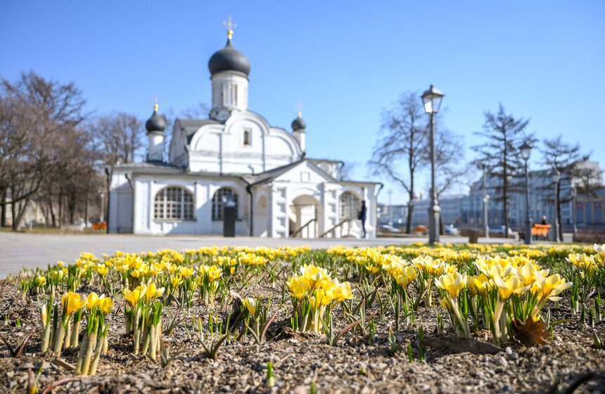 Температура в Москве может подняться до 19 градусов 30 и 31 марта 15 фото
