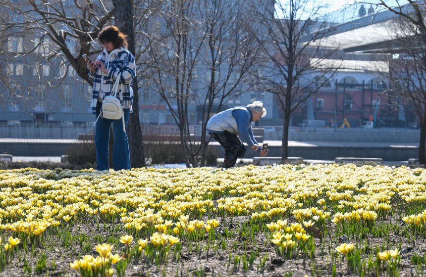 Температура в Москве может подняться до 19 градусов 30 и 31 марта 12 фото