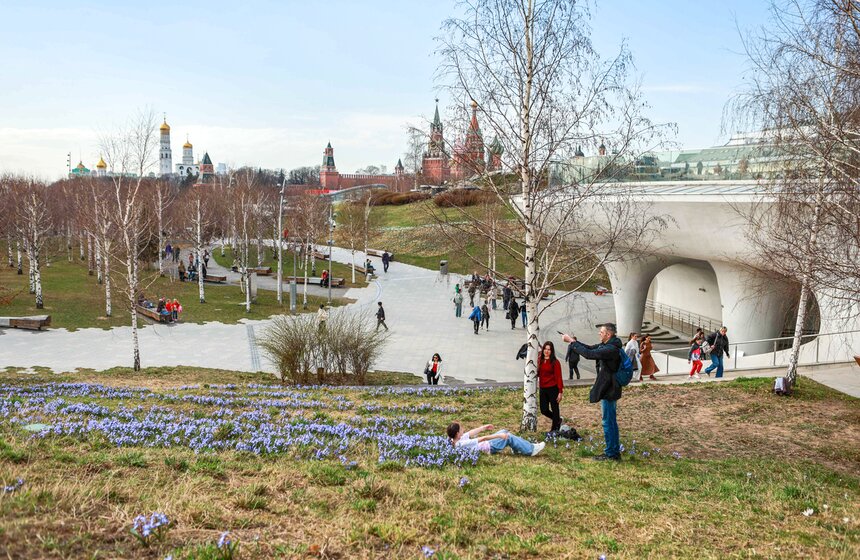 Первоцветы распустились в парках Москвы 10 фото