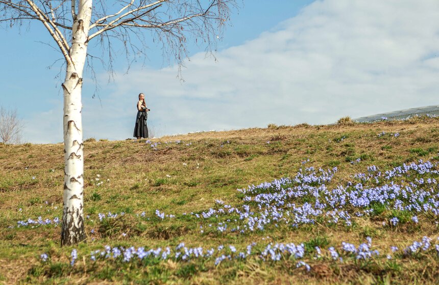 Первоцветы распустились в парках Москвы 4 фото