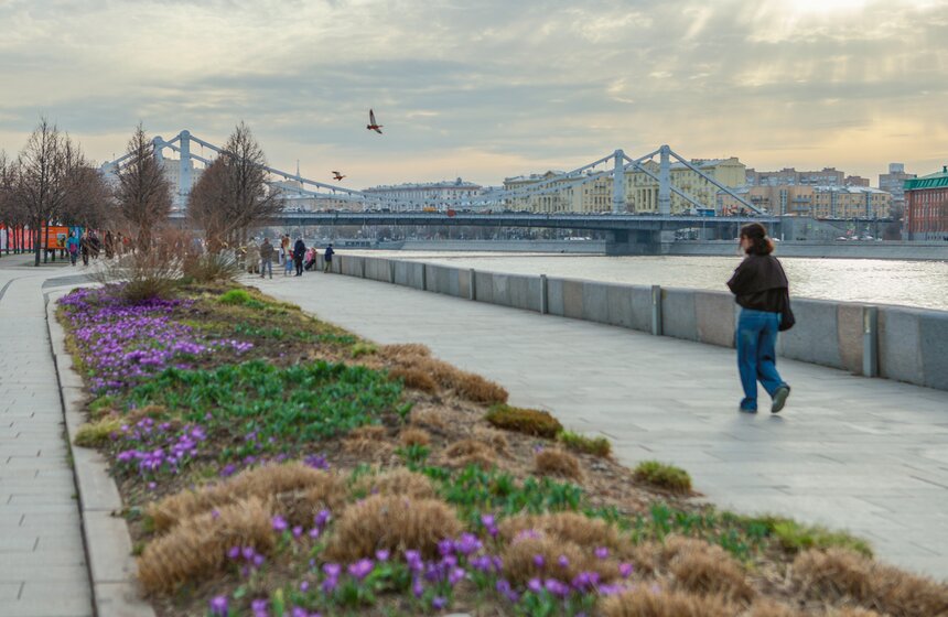 Первоцветы распустились в парках Москвы 28 фото