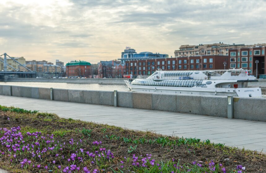 Первоцветы распустились в парках Москвы 23 фото