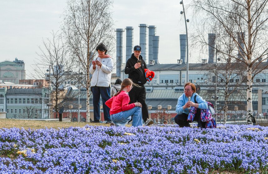 Первоцветы распустились в парках Москвы 7 фото