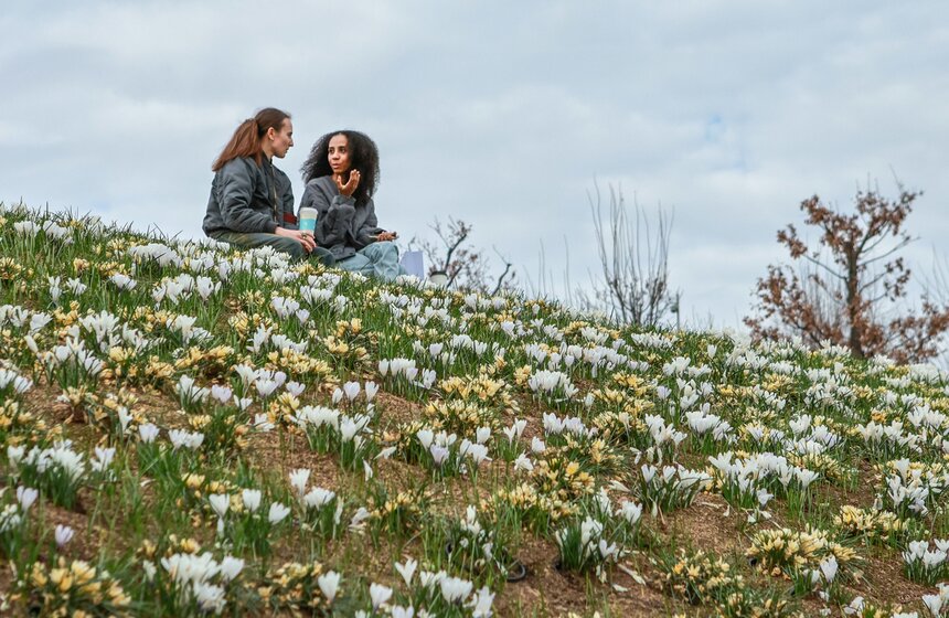 Первоцветы распустились в парках Москвы 16 фото
