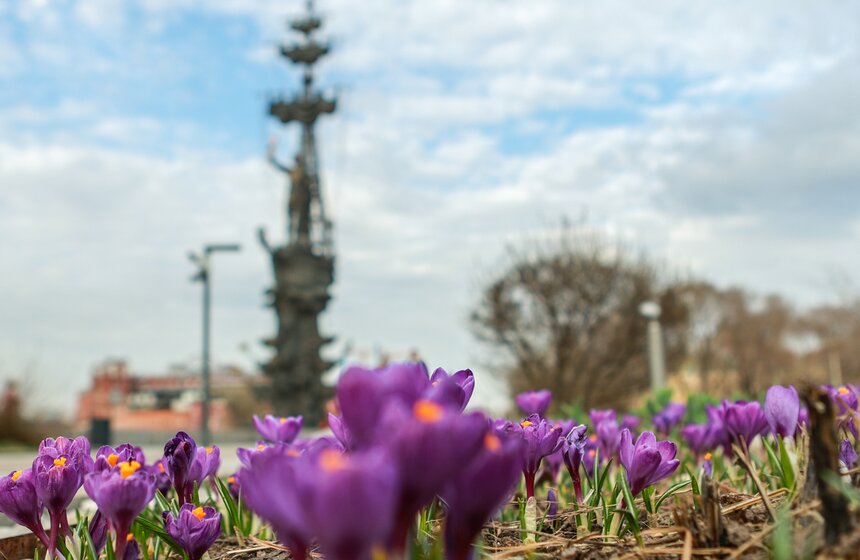 Первоцветы распустились в парках Москвы 21 фото