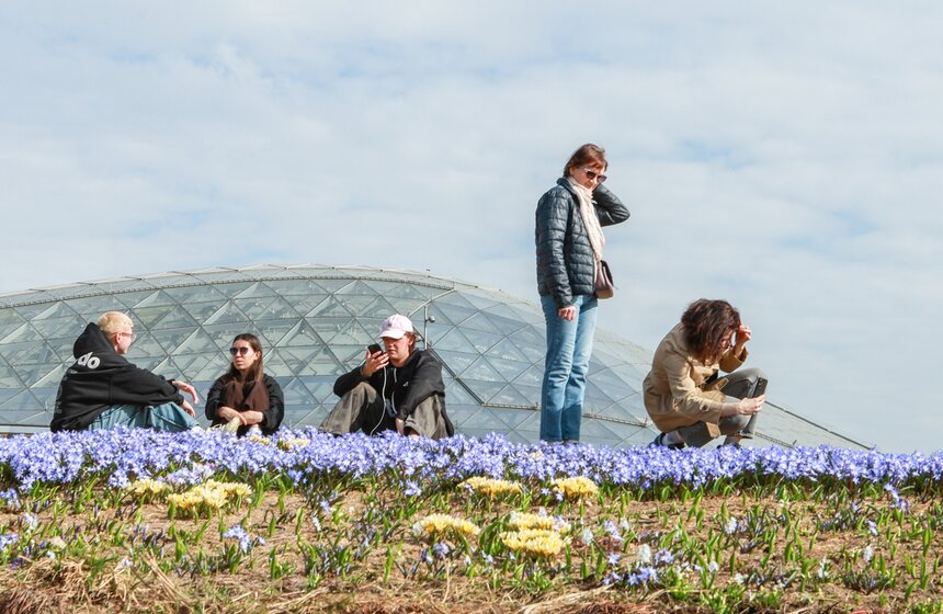 Первоцветы распустились в парках Москвы 8 фото