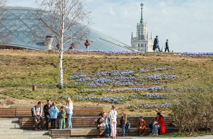 Первоцветы распустились в парках Москвы 1 фото