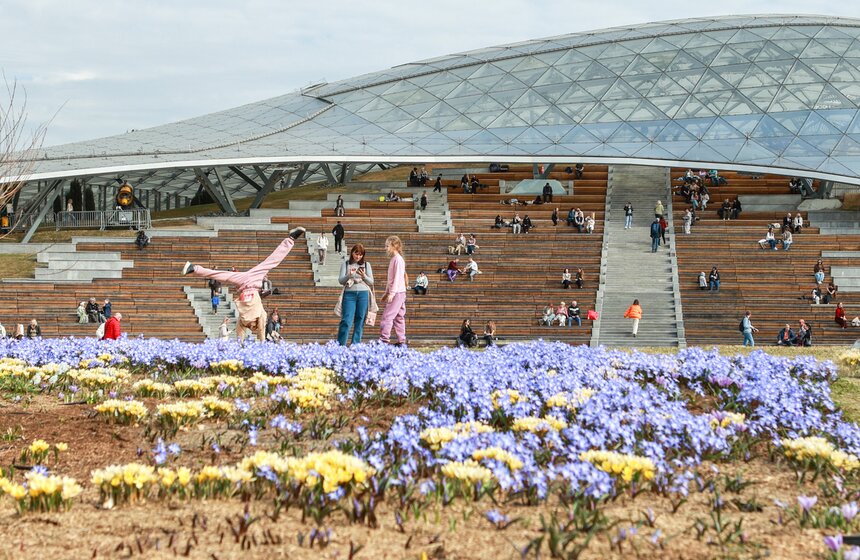 Первоцветы распустились в парках Москвы 11 фото