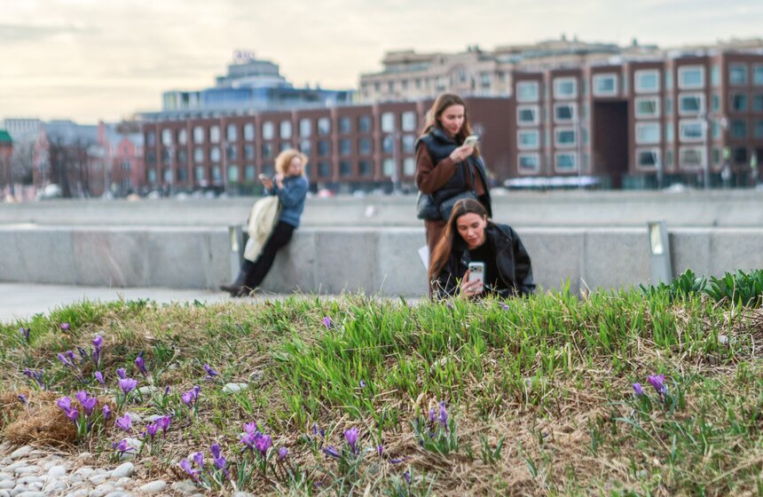Первоцветы распустились в парках Москвы 22 фото