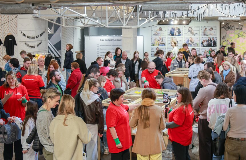 Выставка – пристройство кошек из приютов #Всемпокотику прошла в Москве 17 фото