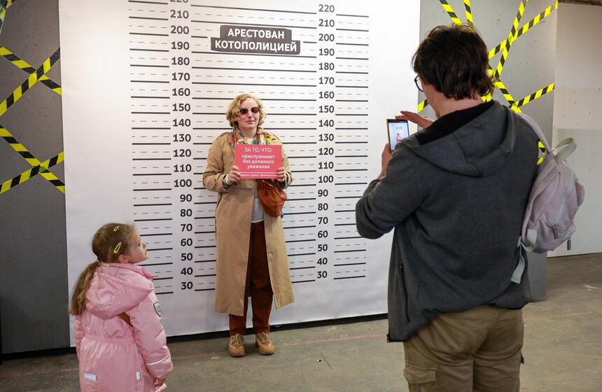 Выставка – пристройство кошек из приютов #Всемпокотику прошла в Москве 14 фото