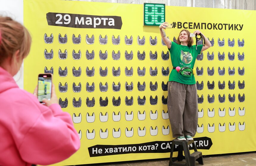Выставка – пристройство кошек из приютов #Всемпокотику прошла в Москве 29 фото