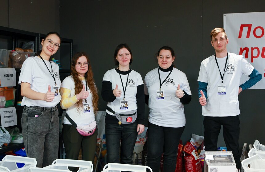 Выставка – пристройство кошек из приютов #Всемпокотику прошла в Москве 11 фото