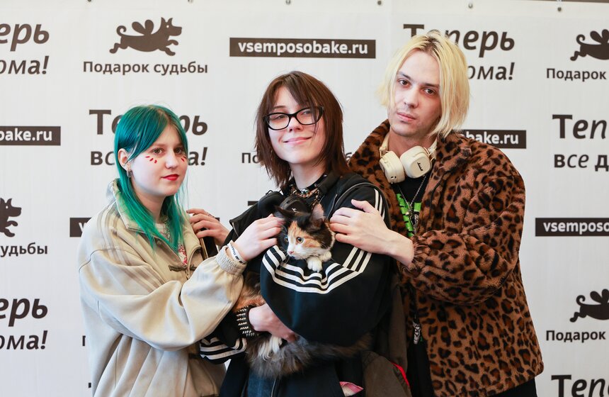 Выставка – пристройство кошек из приютов #Всемпокотику прошла в Москве 36 фото