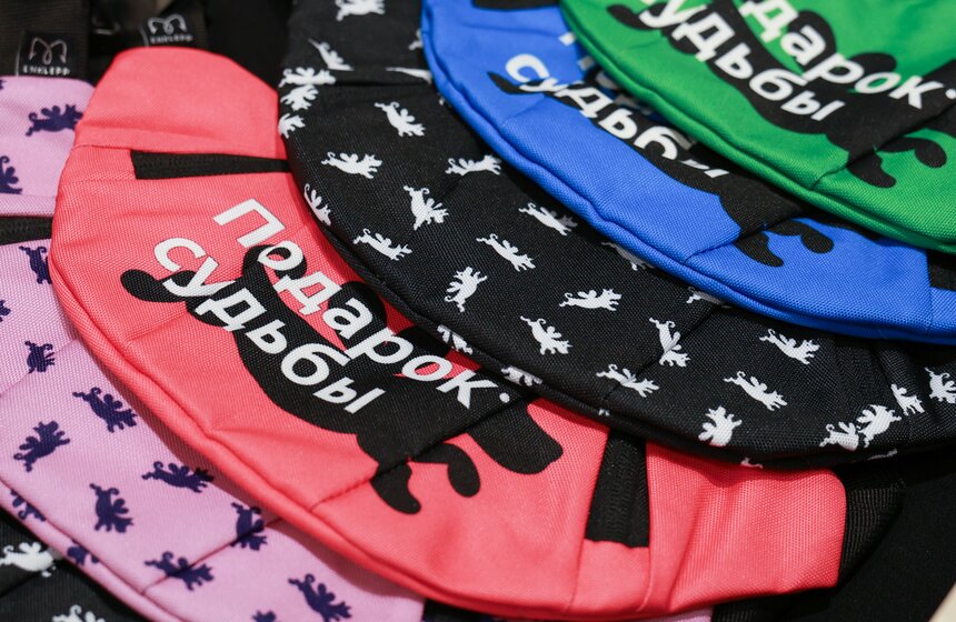 Выставка – пристройство кошек из приютов #Всемпокотику прошла в Москве 12 фото