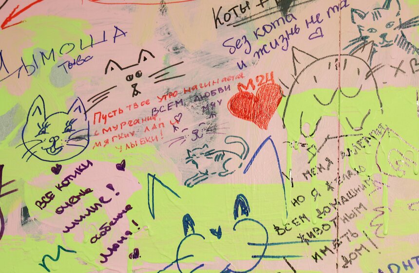 Выставка – пристройство кошек из приютов #Всемпокотику прошла в Москве 5 фото