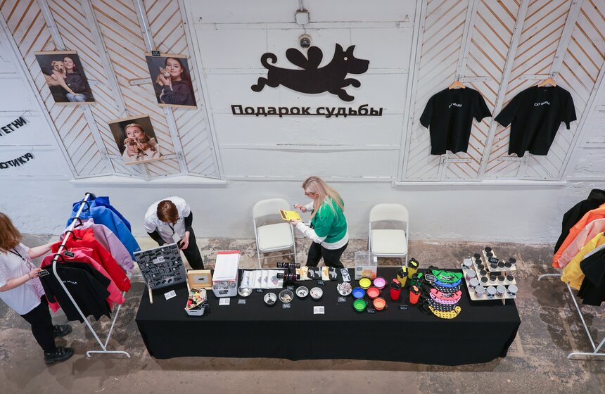 Выставка – пристройство кошек из приютов #Всемпокотику прошла в Москве 4 фото