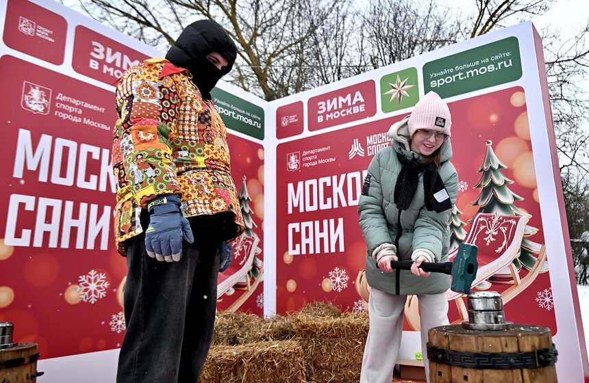 В столице завершился фестиваль "Московские сани" 14 фото