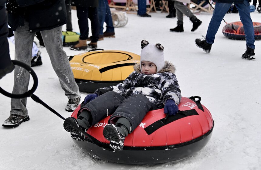 В столице завершился фестиваль "Московские сани" 9 фото
